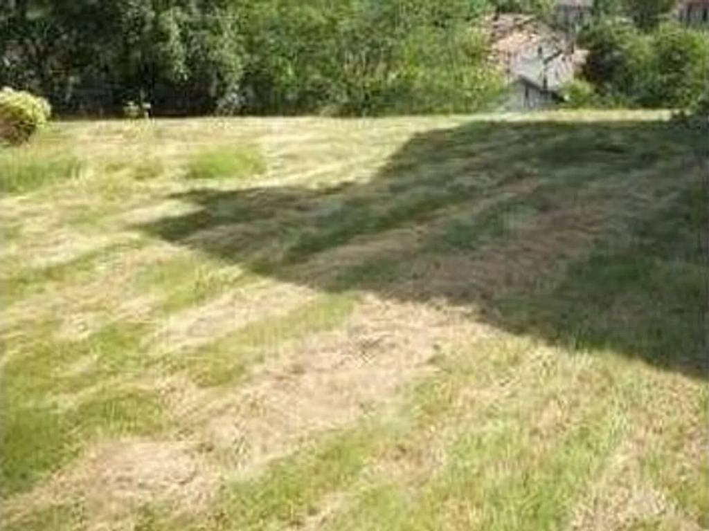 terreno agricolo in vendita a Fabriano