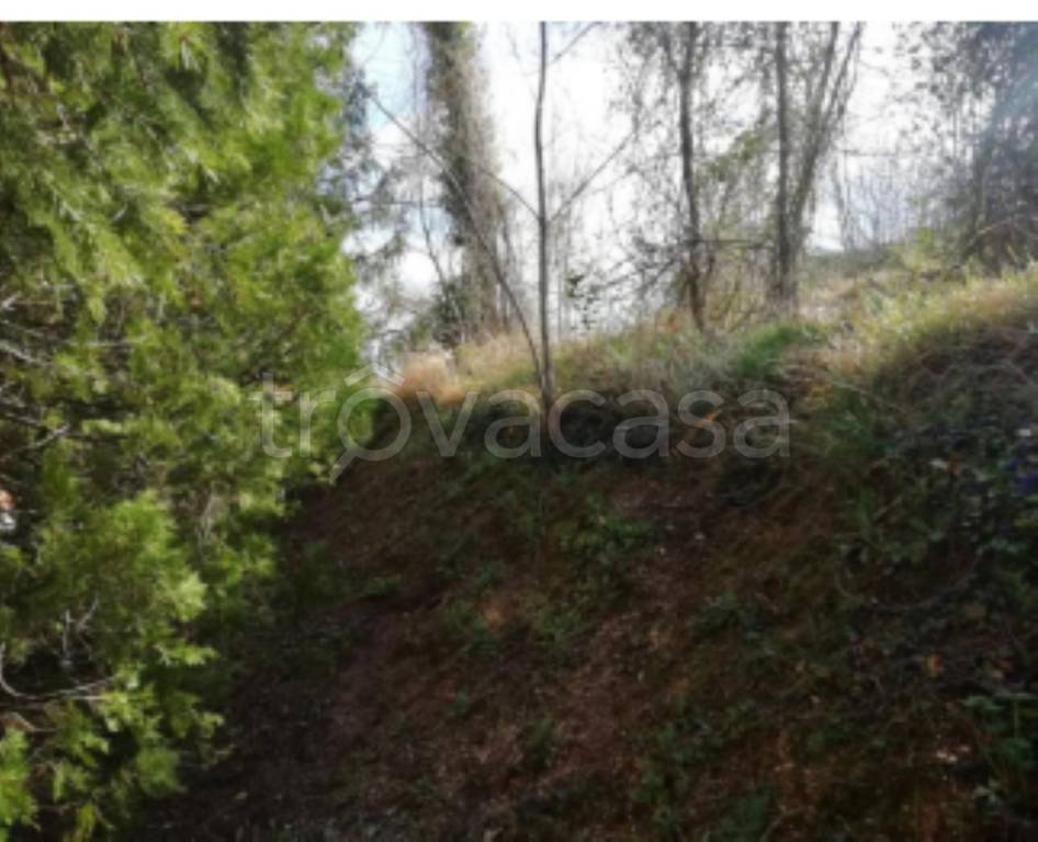 terreno agricolo in vendita a Fabriano