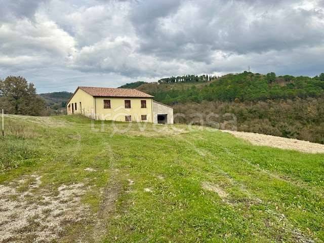 negozio in vendita a Fabriano