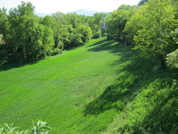 negozio in vendita a Fabriano in zona Argignano
