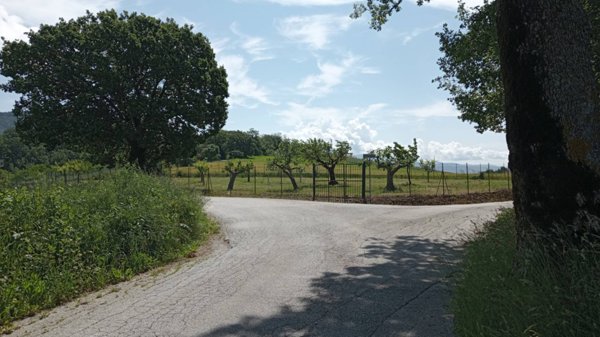 terreno agricolo in vendita a Fabriano in zona San Donato