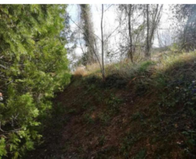 terreno agricolo in vendita a Fabriano