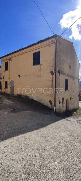 immagine annuncio 0 di 15