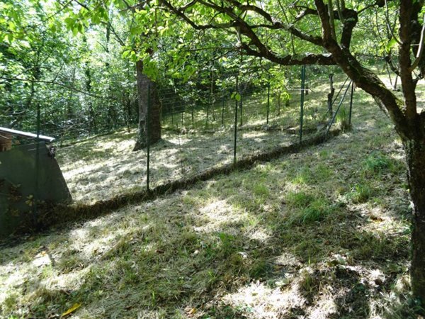 terreno agricolo in vendita a Fabriano in zona Melano