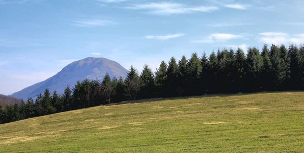 negozio in vendita a Fabriano in zona Poggio San Romualdo