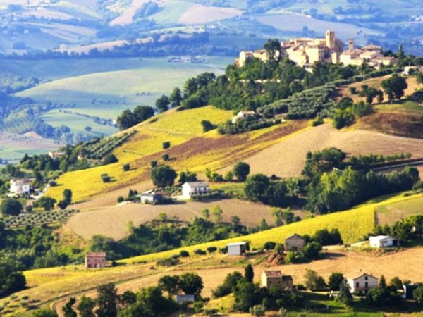 negozio in vendita a Fabriano