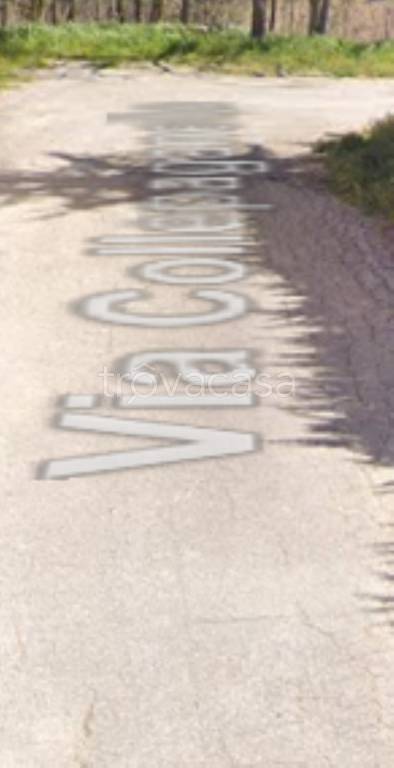 terreno agricolo in vendita a Fabriano