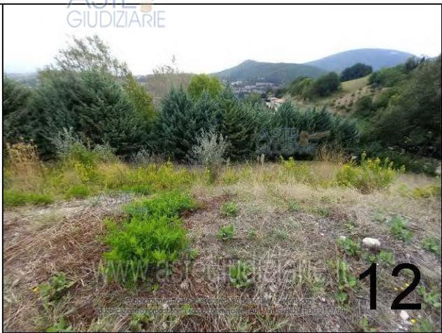 terreno agricolo in vendita a Fabriano