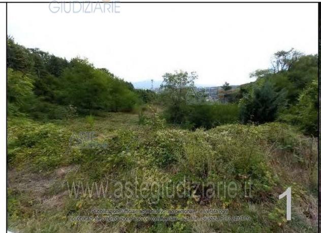 terreno agricolo in vendita a Fabriano