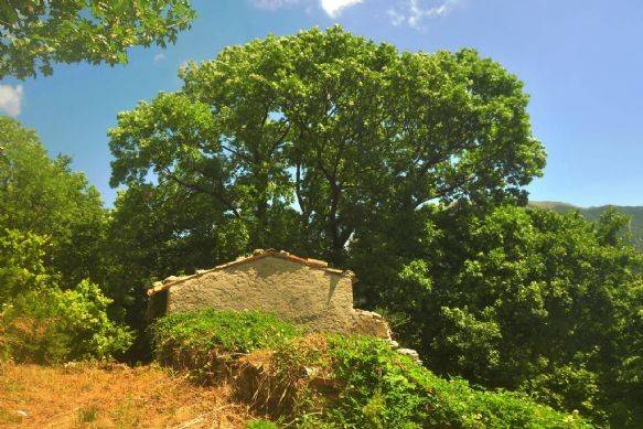 casa indipendente in vendita a Fabriano in zona Campodonico