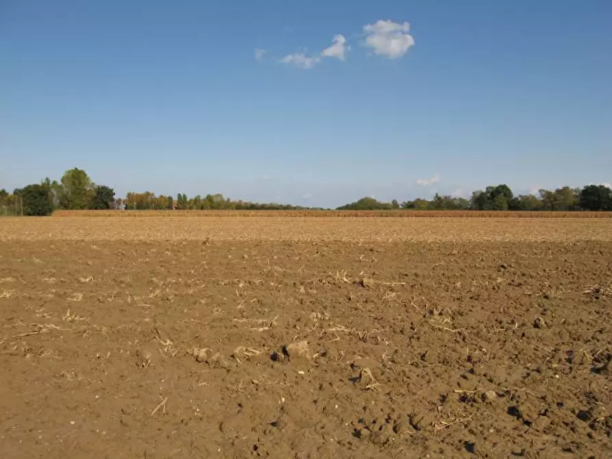 terreno agricolo in vendita a Falconara Marittima