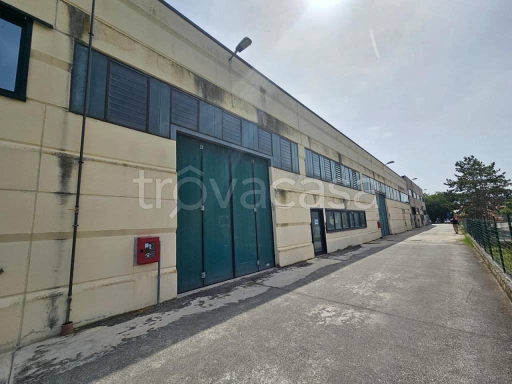 negozio in vendita a Falconara Marittima