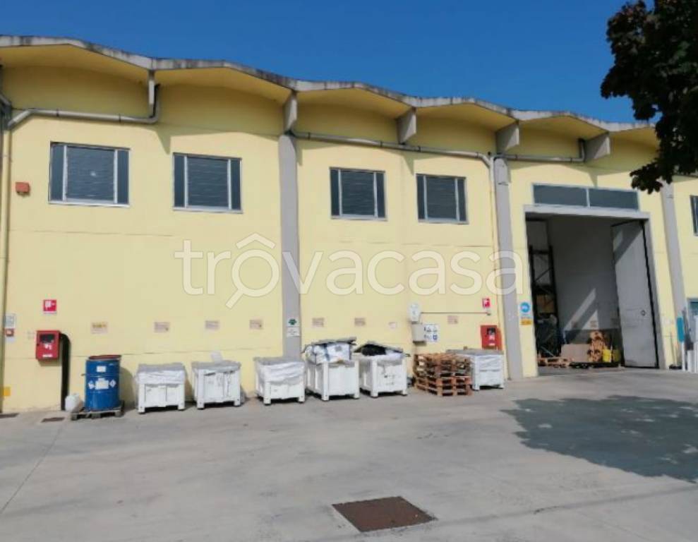 locale commerciale in vendita a Falconara Marittima