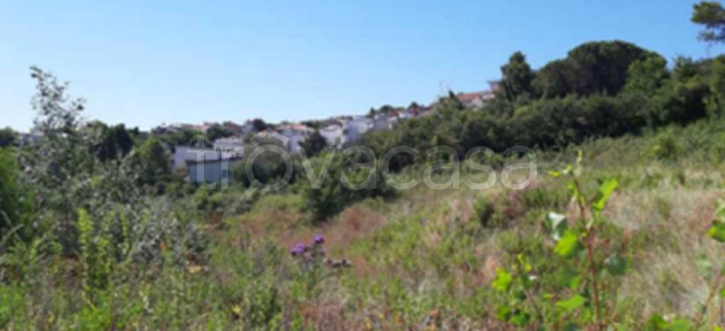 appartamento in vendita a Falconara Marittima