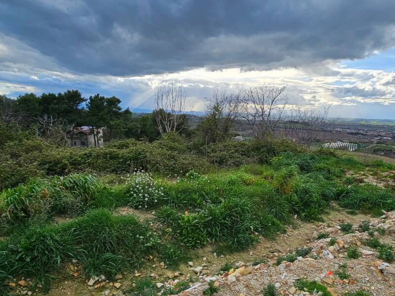 villa in vendita a Falconara Marittima