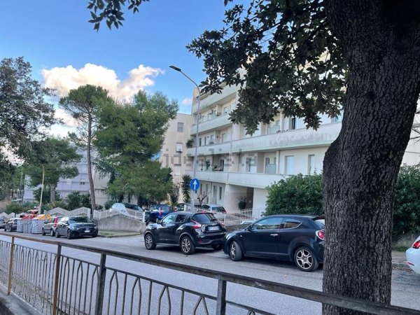 appartamento in vendita a Falconara Marittima