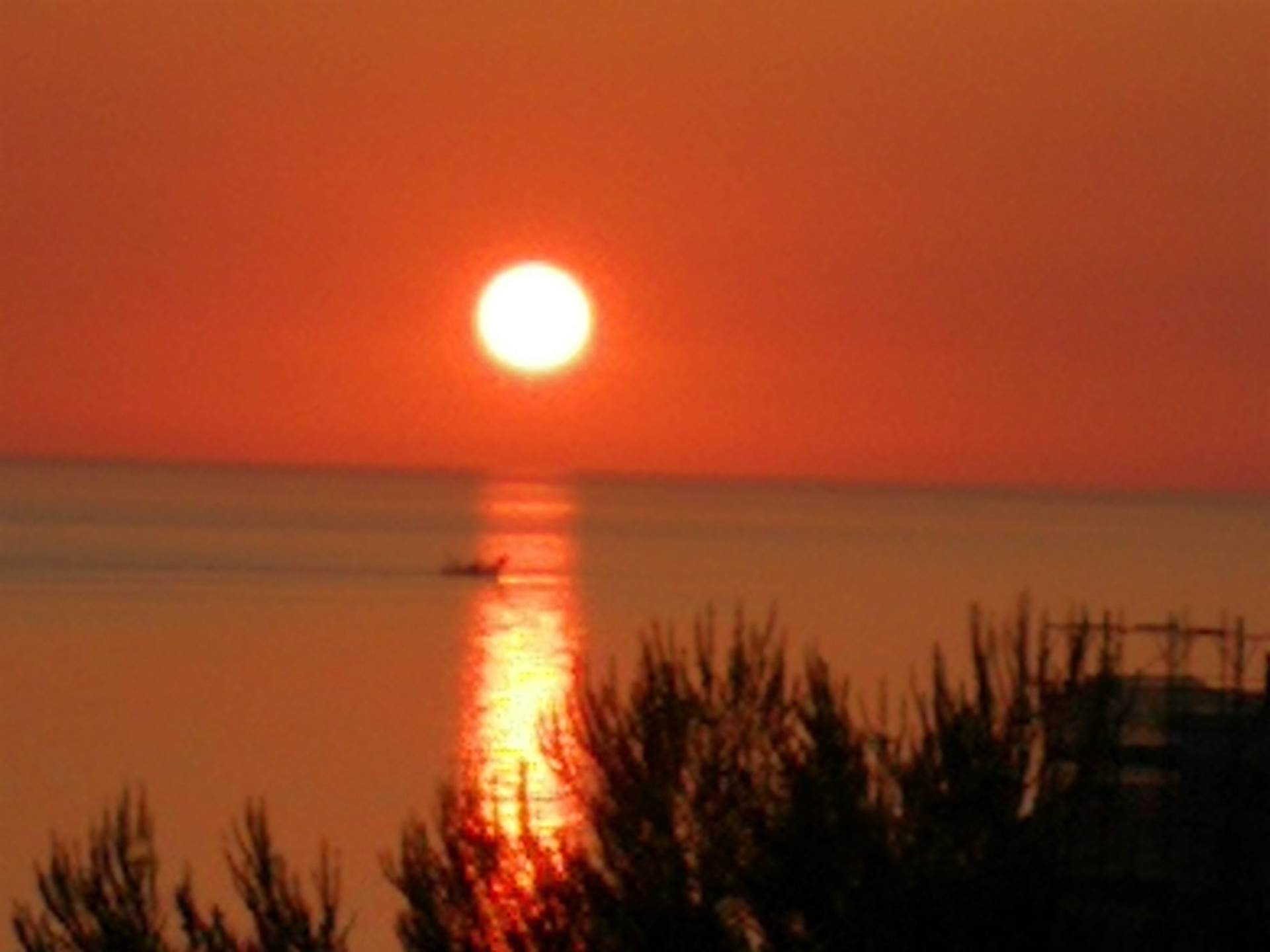 appartamento in vendita a Falconara Marittima