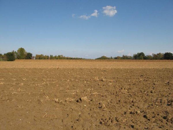 terreno agricolo in vendita a Falconara Marittima