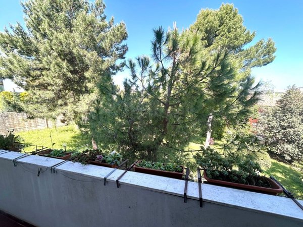 appartamento in vendita a Falconara Marittima in zona Falconara Alta