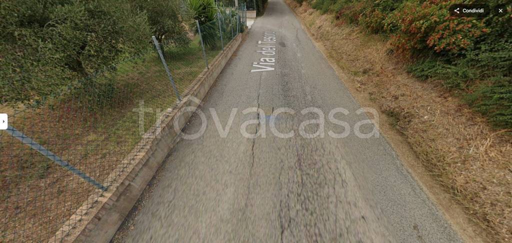 terreno agricolo in vendita a Falconara Marittima