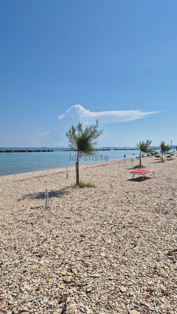 appartamento in vendita a Falconara Marittima