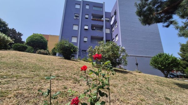 appartamento in vendita a Falconara Marittima in zona Palombina Vecchia