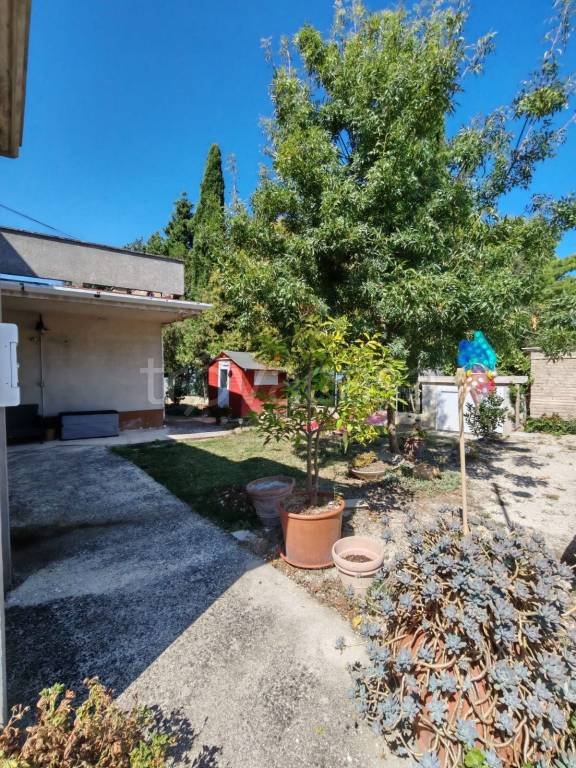 appartamento in vendita a Falconara Marittima