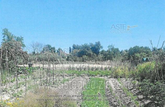 terreno agricolo in vendita a Falconara Marittima