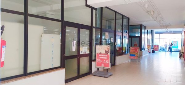 casa indipendente in vendita a Falconara Marittima