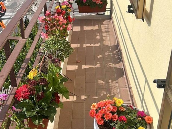 appartamento in vendita a Falconara Marittima