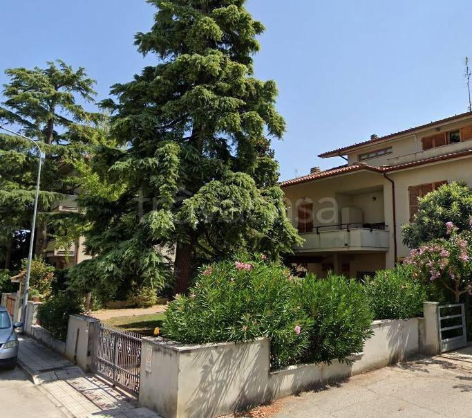 appartamento in vendita a Falconara Marittima