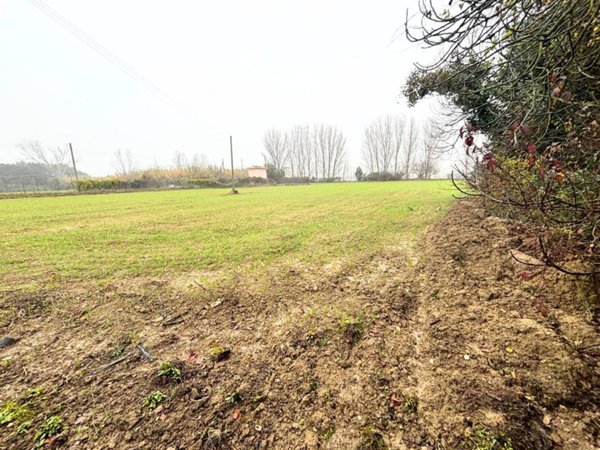 casa indipendente in vendita a Falconara Marittima