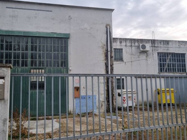 locale commerciale in vendita a Falconara Marittima