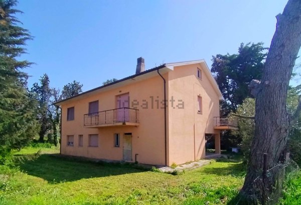 appartamento in vendita a Falconara Marittima