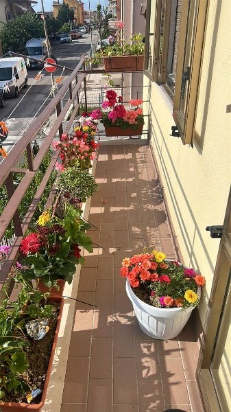 appartamento in vendita a Falconara Marittima