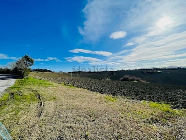 terreno agricolo in vendita a Falconara Marittima