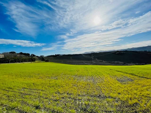 terreno agricolo in vendita a Falconara Marittima