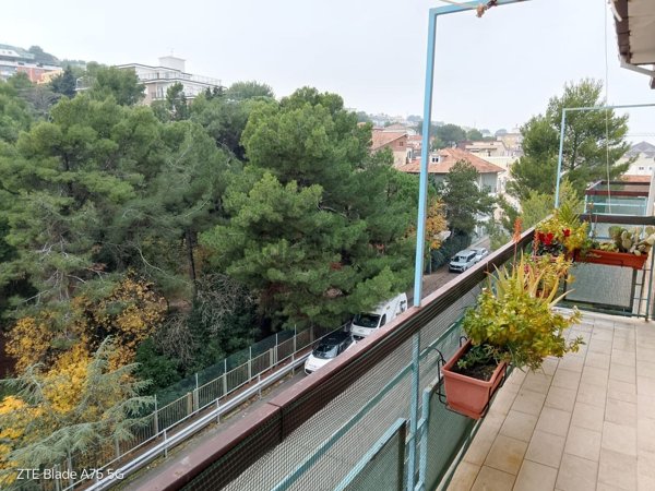 appartamento in vendita a Falconara Marittima