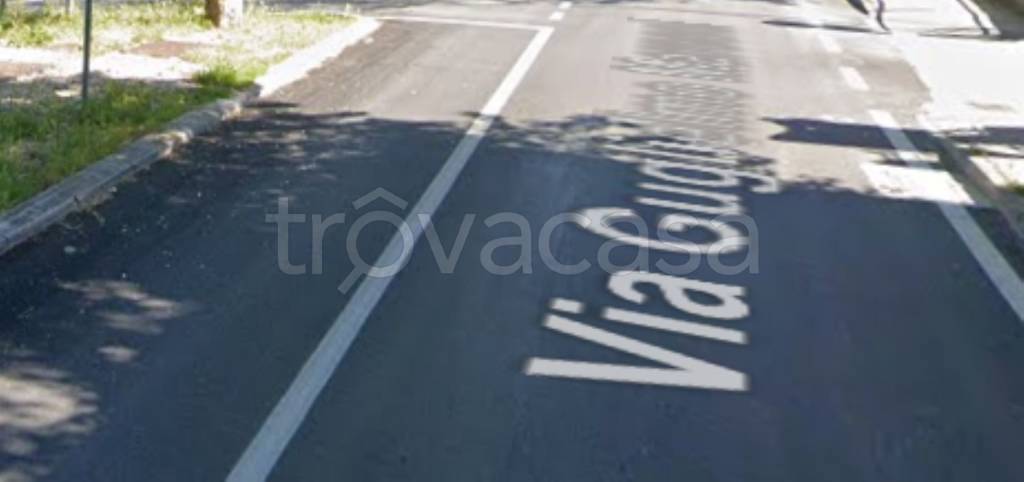 terreno agricolo in vendita a Falconara Marittima