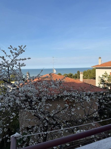 appartamento in vendita a Falconara Marittima