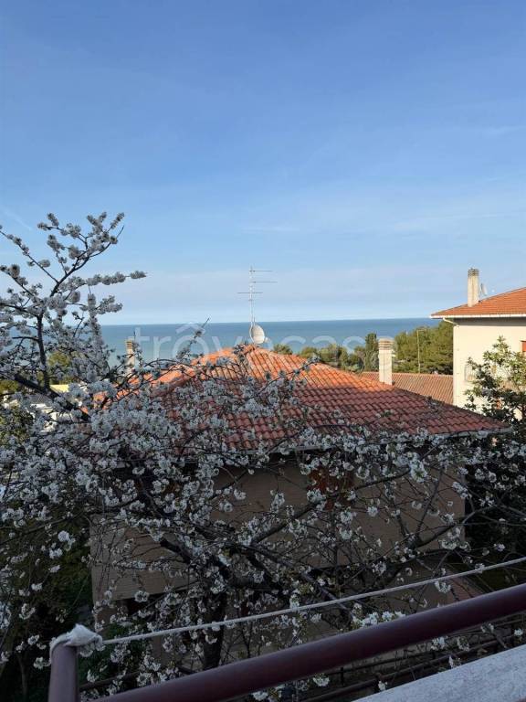 appartamento in vendita a Falconara Marittima
