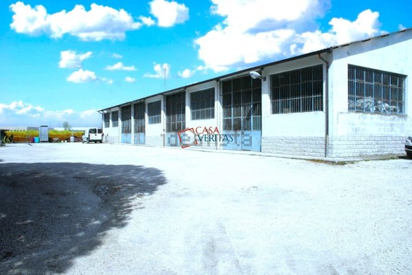 capannone in vendita a Falconara Marittima in zona Castelferretti