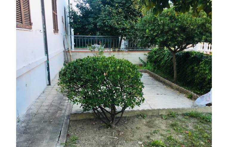 appartamento in vendita a Falconara Marittima in zona Fiumesino