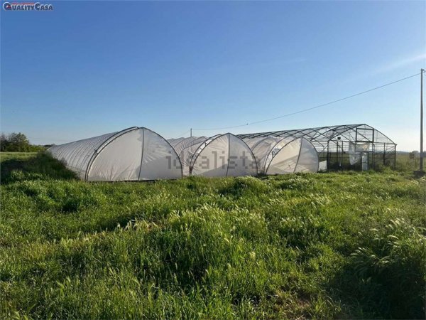 terreno agricolo in vendita a Falconara Marittima