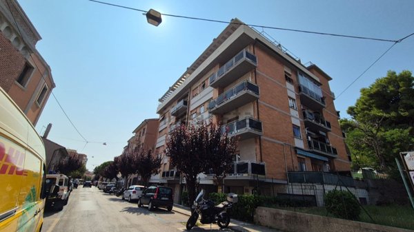 appartamento in vendita a Falconara Marittima
