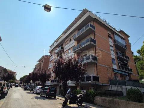 appartamento in vendita a Falconara Marittima