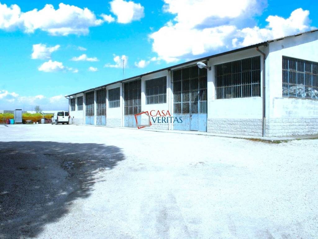 locale commerciale in vendita a Falconara Marittima in zona Castelferretti