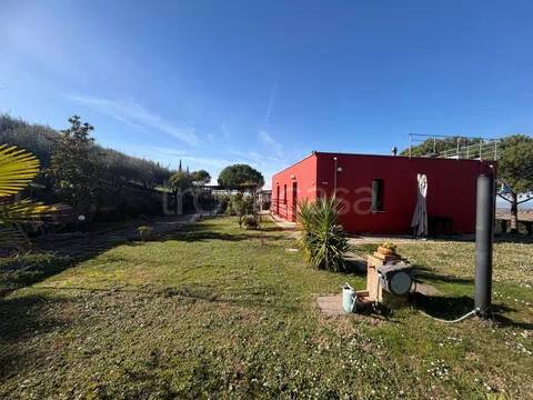 casa indipendente in vendita a Falconara Marittima