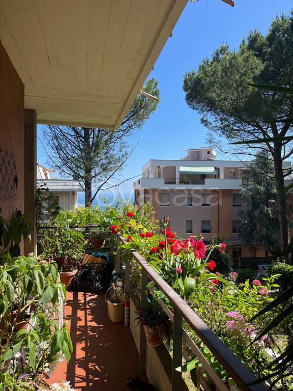 appartamento in vendita a Falconara Marittima