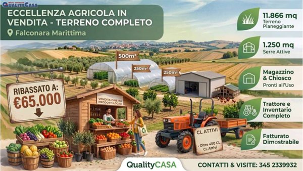 terreno agricolo in vendita a Falconara Marittima